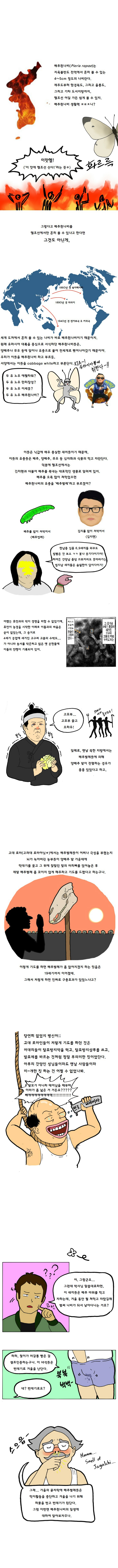 배추흰나비-2.jpg