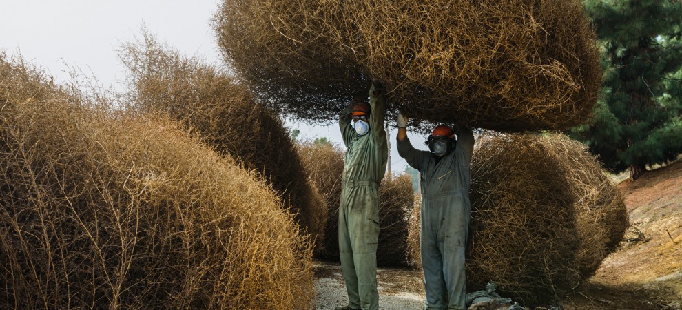 ngm-2013-tumbleweed-workers-cook-jenshel-990x450.jpg