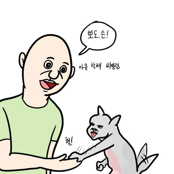 FB_IMG_1437181794984.jpg : 강아지 훈련 . manhwa