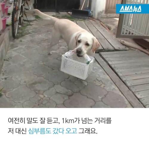 mug_obj_145319490298246014.JPG : 개똑똑