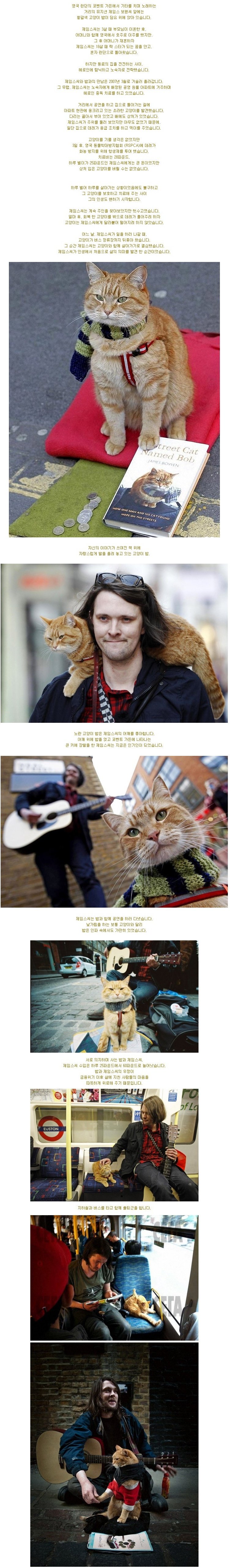 런던 거리의 어느 뮤지션과 고양이.jpg