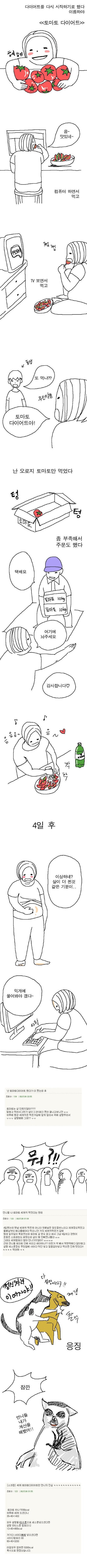 1946DF364E6743780CA5DA.jpg : 토마토 다이어트