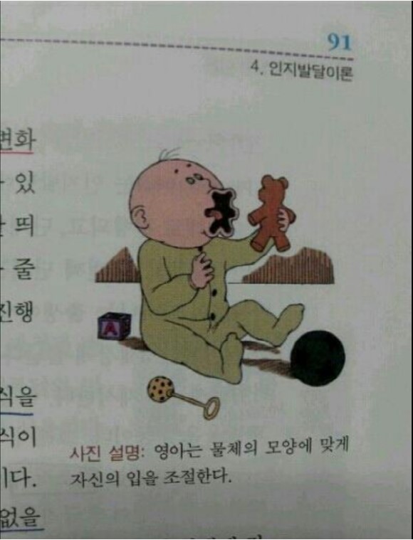 3.JPG : 우리가 몰랐던 영유아의 능력